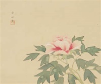 Peony