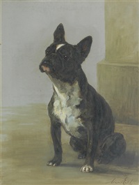 A French Bulldog, 1900
