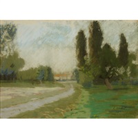 Trees in a park