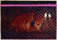 Voyeurs, 2013