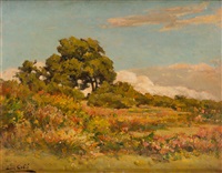 Paisaje