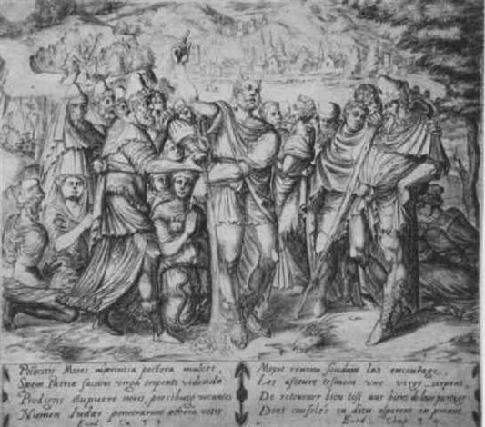 Get Wunder vollbringen Free