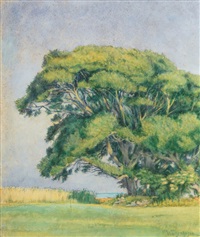 Bodden landscape