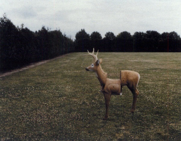 Le petit cerf décalé by Bertrand Desprez on artnet