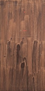 Totem, 2005