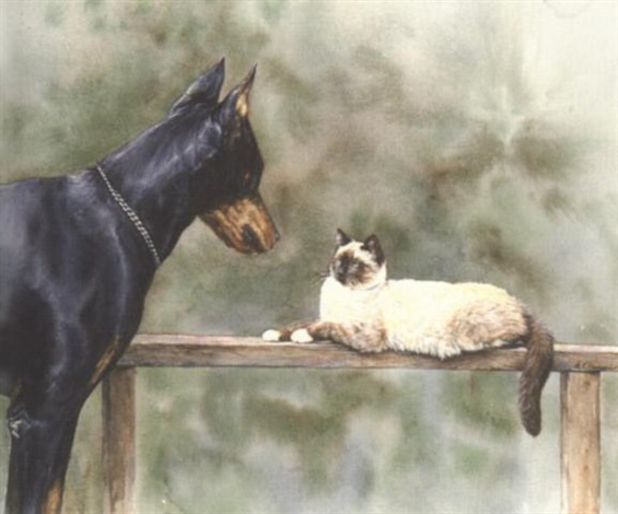 do dobermans get along with cats