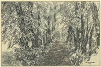 Waldweg, 1919