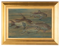 School of Fish