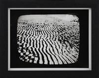 The Diaphragm, 1995, 1995