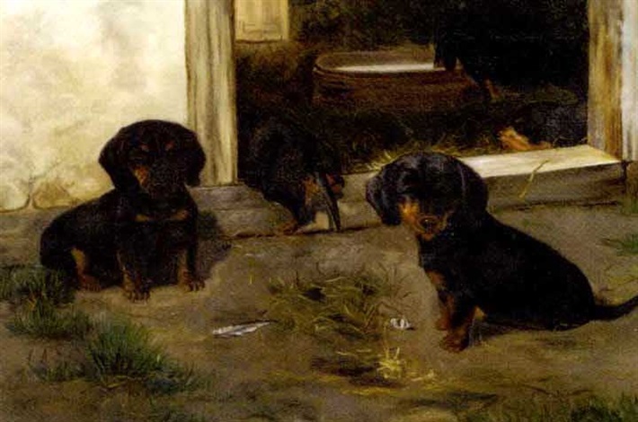 Short Haired Dachshund Puppies By Simon Simonsen On Artnet