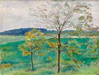 Rašící ořešák, 1954
