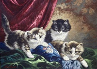 Drie spelende katjes