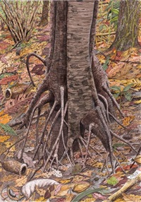 Racines de palétuvier- montagne, 2010