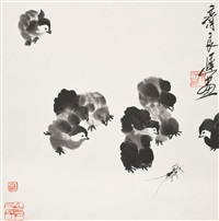 雏鸡