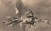 Pájaro, 1972