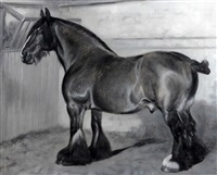 Clydesdale horse in a stable, 1901