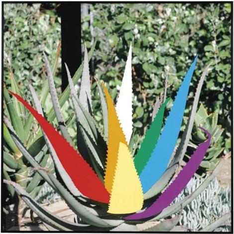 Agave Plant R O Y W G B V With Black Post By John Baldessari On Artnet