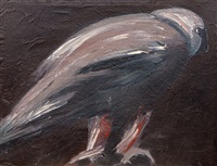 Bearded Vulture, 1988