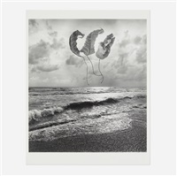 Untitled (Leaves on Beach), 1976