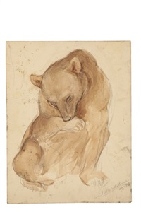 A sketch of bear, 1913