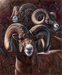 Big Horns of the Sierra Nevadas