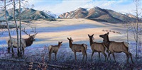 Visions of Wapiti