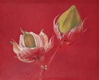 Cotton, 2002