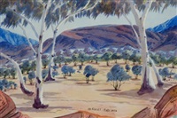 Central desert