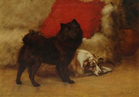 Black Chow and a rough Collie