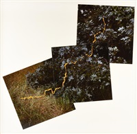 Petals, 1992
