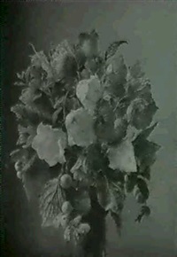 SIBIRISKE VALMUER OG KLOKKEBLOMSTER, 1936