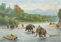 Working Elephants, 1960