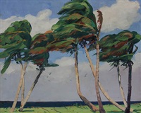 Breeze through the palms
