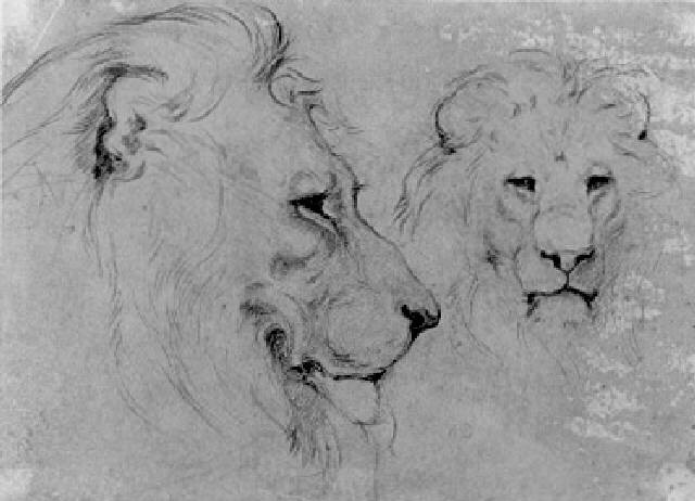 two lions heads one