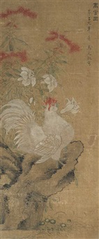 Rooster in a rocky garden
