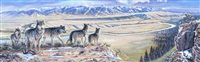 Wolf Lookout