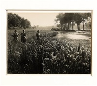 Fioritura di iris, 1923