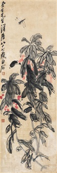 蜻蜓雁来红