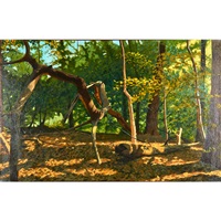 Forest scene 