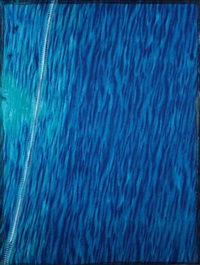 Dall'origine del tessuto ed alla..., 1997 Dall'origine del tessuto ed alla..., 1997