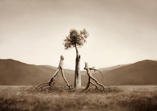 The Lesson by David Linn