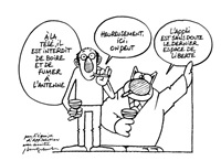 Geluck four chat Pyjama Court