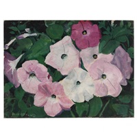 Petunias