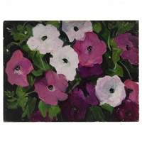 Petunias