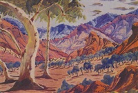 Central Australian landscape