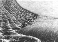 Ernte, 1937–1937