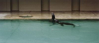 Zoologischer Garten Hannover Ii By Candida Hofer On Artnet