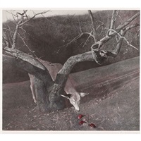JACKLIGHT, 1981