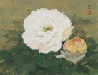 Peonies