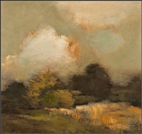 Shaded landscape
